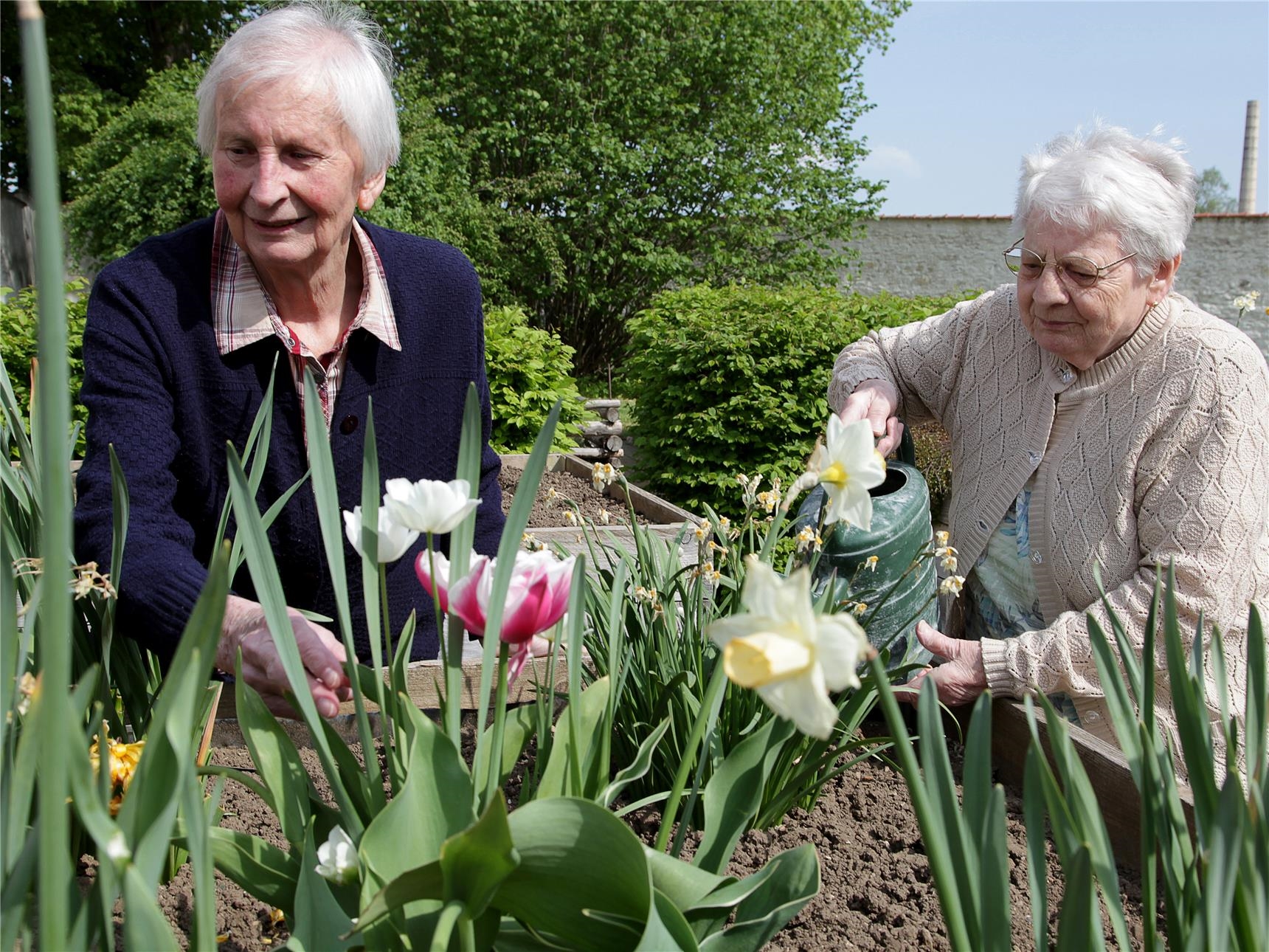 Seniorinnen bei Beetpflege (Foto: Andrea Weingartner)